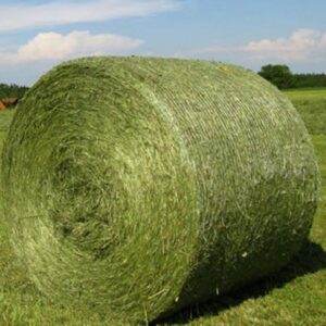 ALFALFA HAY BALE PREMIUM STANDARD